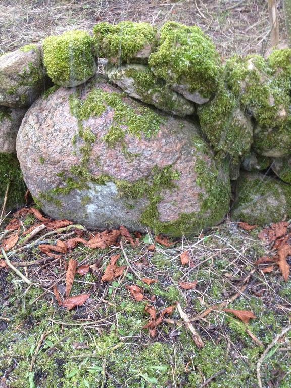 Paradiset Oestra Oeland Nedra Sandby Экстерьер фото
